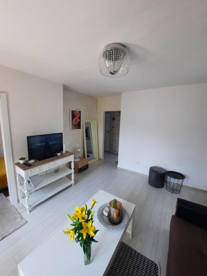 Appartement Apartament Zorzy Przy Instytucie Kardiologii Anin à Varsovie Extérieur photo